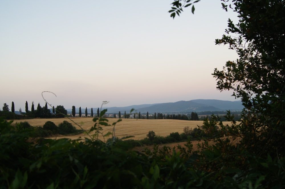 The Rolling Hills seen from the Villa's garden